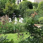 Photos de La Maison d'Aux n°17