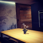 Photos de The Spot La Ménandière n°12