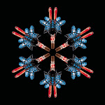 Photos de Chalet Valhalla n°16