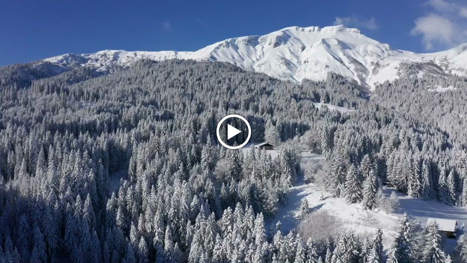 Photos de Chalet Cornillon n°3