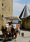 Photos de La Belle étape à Carcassonne n°17