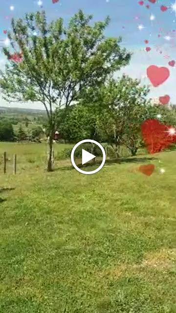 Photos de La Roulotte d'Élicie proche du Parc le pal n°9