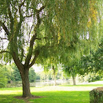 Photos de Camping les Coullemières n°3