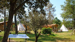 Photos de RANCH DU PUITS DE RIQUIER : gîte d'étape cabanes tipis Var Verdon Relais équestre éco-lieu n°4