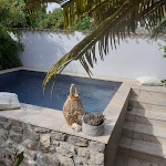 Photos de Sous le tilleul à ruoms n°8