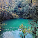 Photos de Sous le tilleul à ruoms n°10