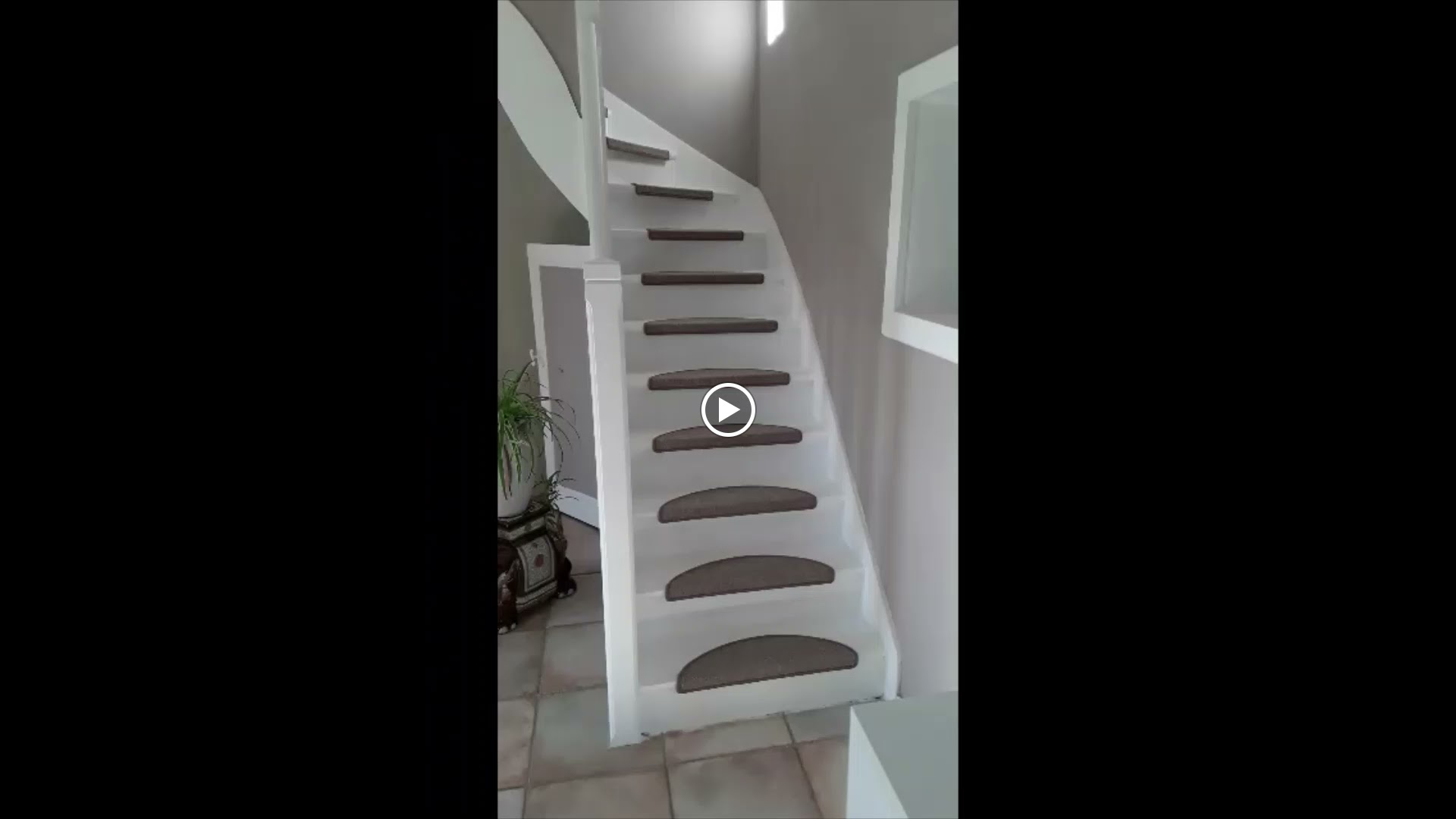 Photos de Rosier Mignon n°3