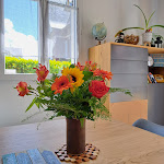 Photos de Maison KalBot*** n°7