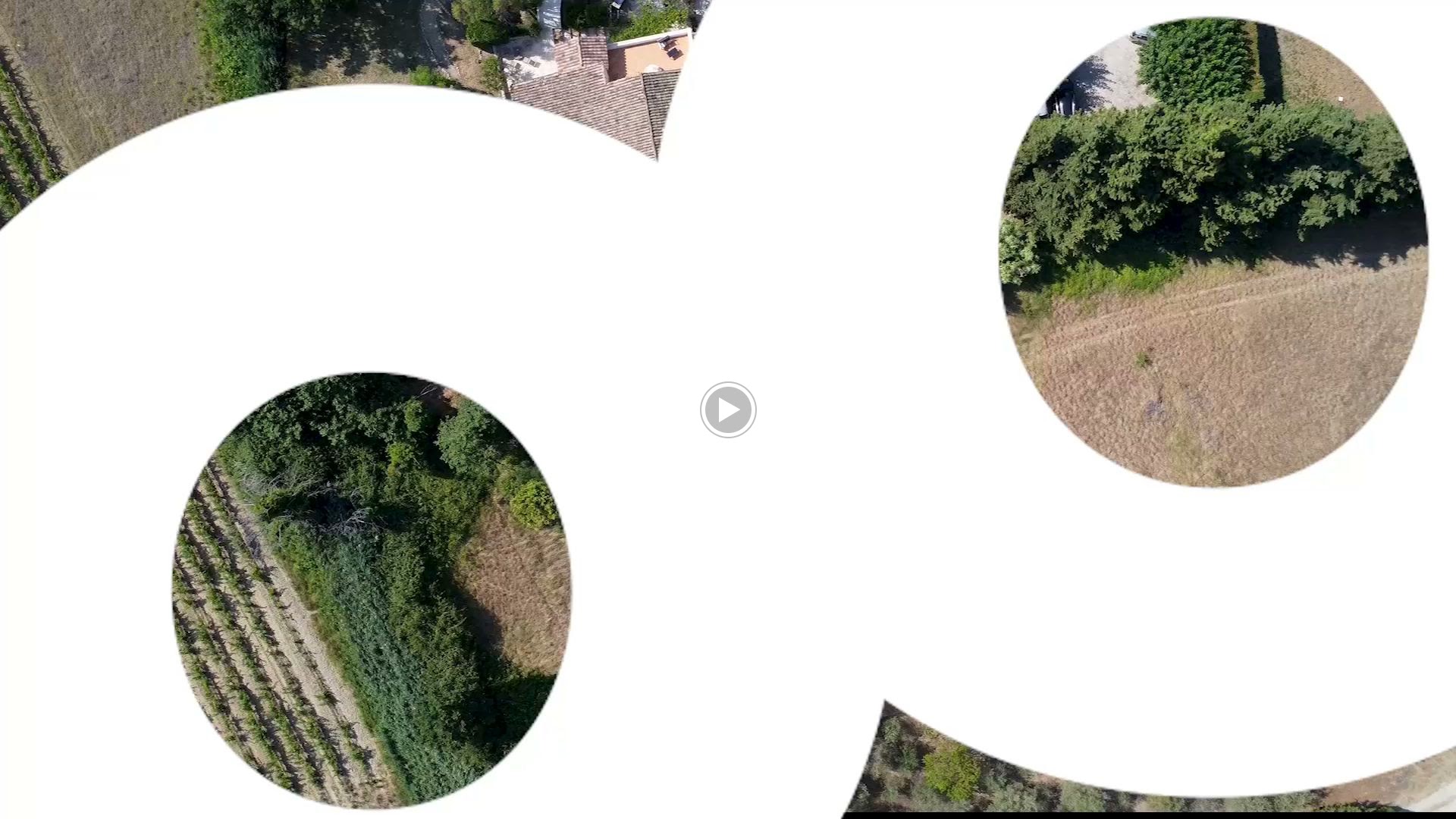 Photos de Le Vieux Platane n°2