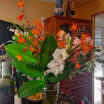 Photos de LE PATIO n°18