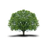 Photos de Altamica - Maison d'hôte de charme n°5