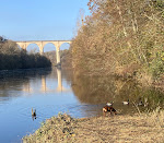 Photos de La Dame de Nage Chambres d'Hôtes n°6