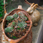 Photos de La Maison Charmante B&B n°9