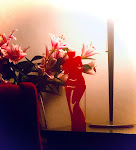 Photos de Chambres d'Hôtes et Bistroterie Au bout du Pré n°18