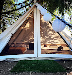 Photos de Les Petites Bulles de Massier n°19