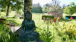 Photos de Buddha Camp n°7