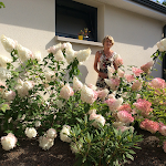 Photos de Chambre d’hôtes Du Côté de Chez Paule n°9