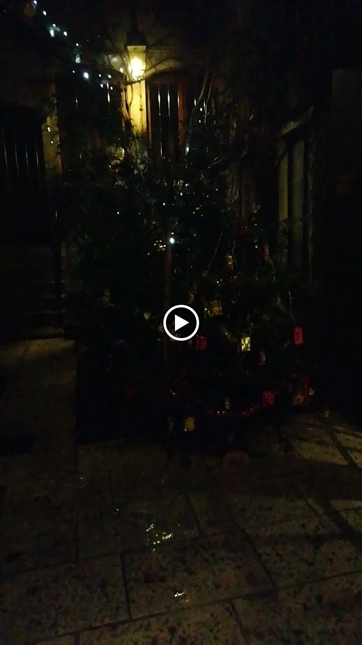 Photos de LE PATIO D'ALAIN ET VÉRONIQUE n°16