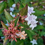 Photos de Villa Balemno n°18