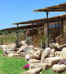 Photos de Brise Marine n°8