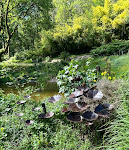 Photos de Domaine de la Chastre, Les Ocelles de Sarlat n°10