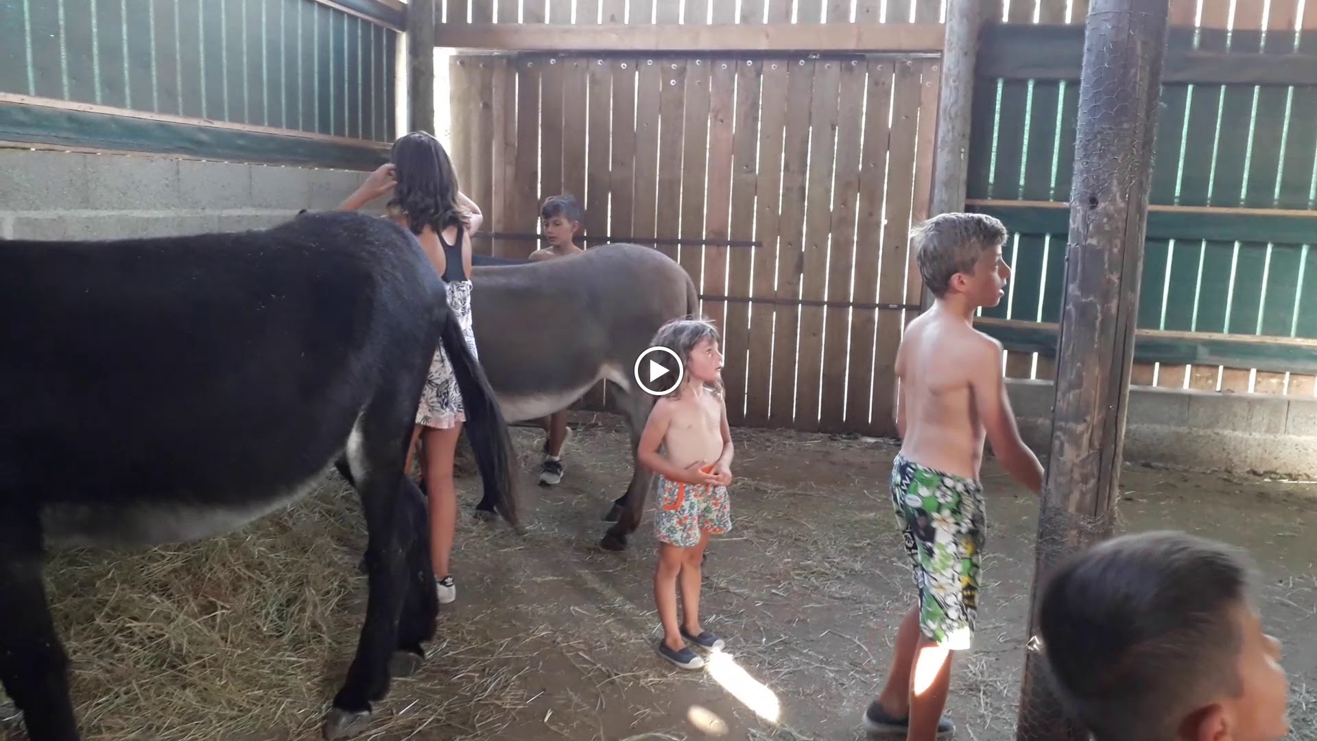 Photos de Camping L'Heureux Hasard n°3