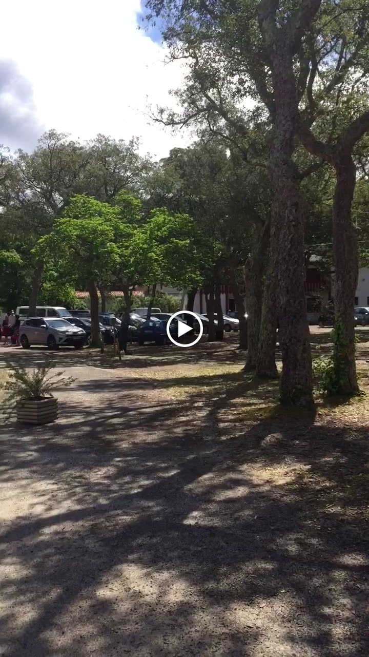 Photos de Nouvel Horizon Guest Center Landes n°3