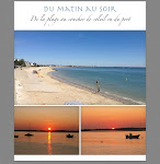 Photos de Chambre d'Hôtes et Gîte Gallais-Birault n°5