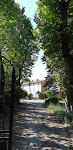Photos de Mon petit Soulié n°9