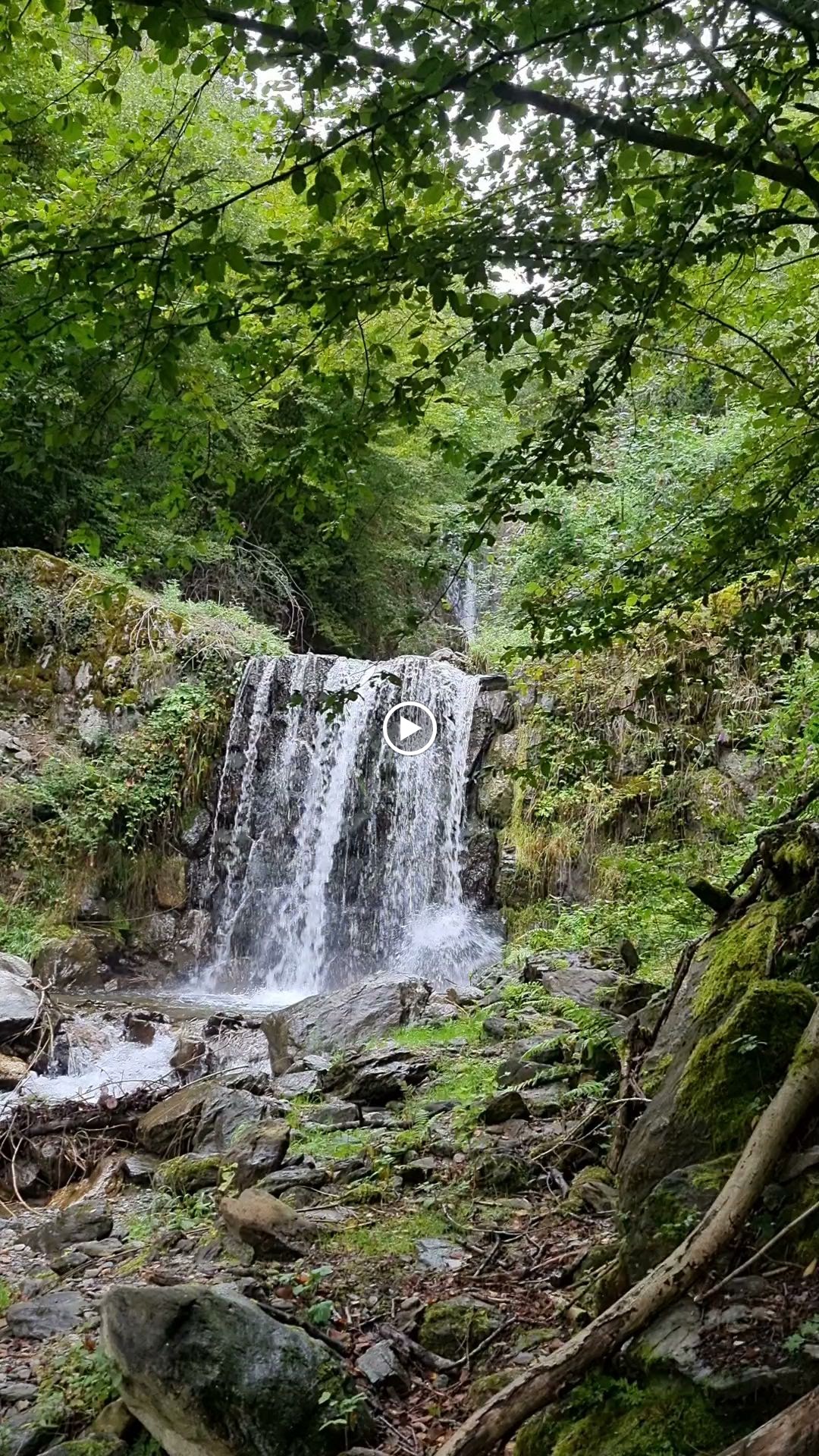 Photos de Alberville n°9