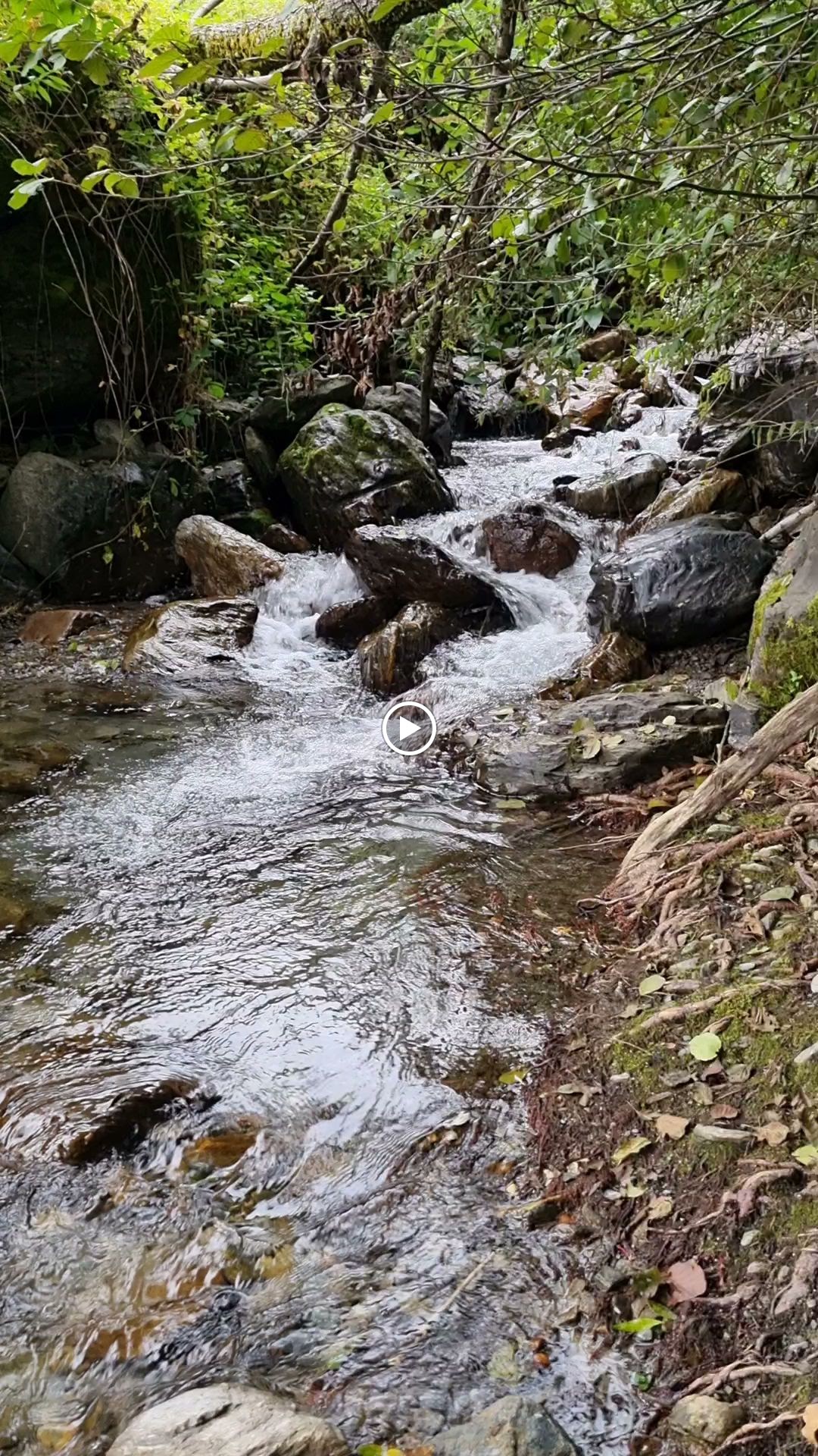 Photos de Alberville n°12