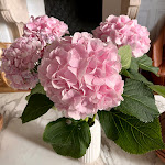 Photos de Maison Tandem n°11