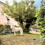 Photos de Maison Tandem n°16