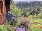 Photos de Chalet Panorama n°8