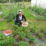 Photos de TREGONT MAB chambres d'hotes 29 n°9