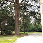 Photos de Domaine Christanna n°6