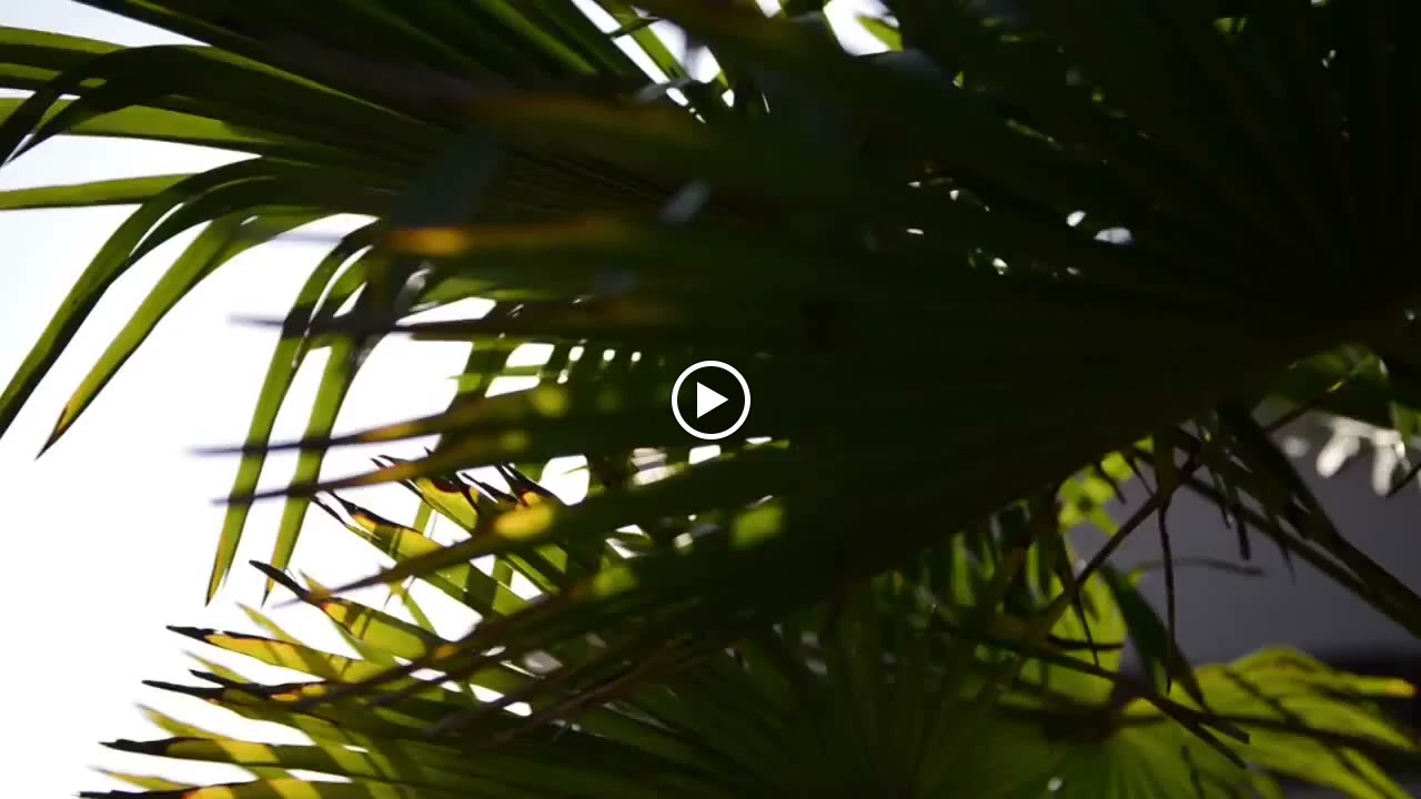 Photos de Lac des Molières n°10