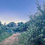 Photos de Camping du Ciel Ouvert n°6