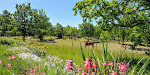 Photos de LA VAYSSADE - Gîtes & Chambres de Charme - Spa & Piscine - Pension Chevaux n°14