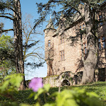 Photos de Chambres d'hôtes Château de Canac n°3