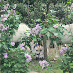 Photos de Chambres d'hôtes Mas de la Forge n°18