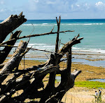 Photos de La Dune Du Bien Etre n°20