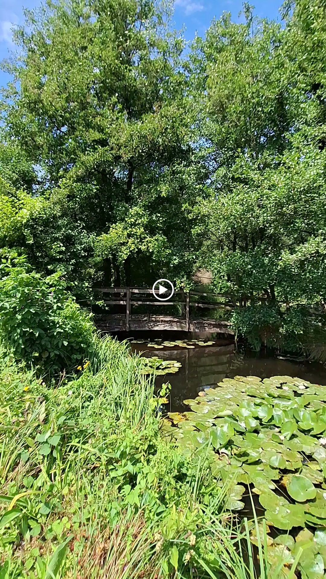 Photos de Trainefeuilles n°2