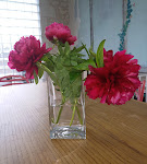 Photos de Le Jardin des Lys n°15