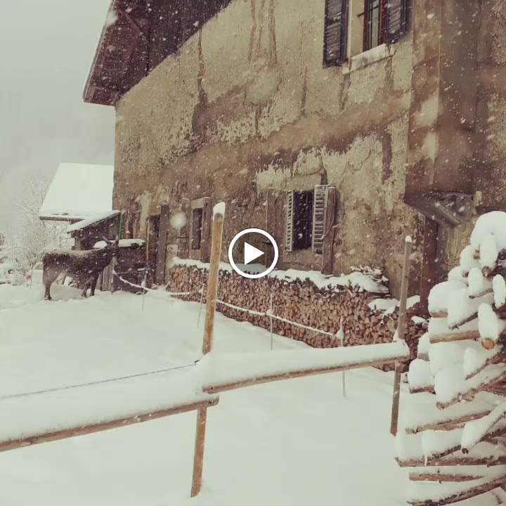 Photos de A La Ferme Du Champelet n°9