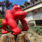 Photos de Maison Cabotte Beaune (Hôtel d'Hôtes) n°8