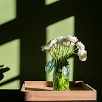 Photos de Sur Le Quai n°5