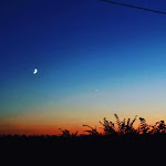 Photos de Domaine de la Rue n°10