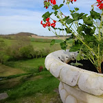 Photos de La Maison Forte n°8