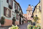 Photos de Gite - chambres d'hôtes - Alsace - Maison Thomas n°19